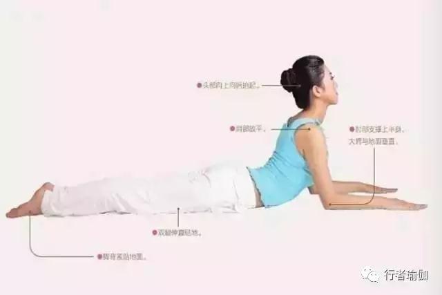 微信图片_20170515154446.jpg