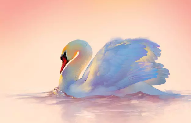 blob.png