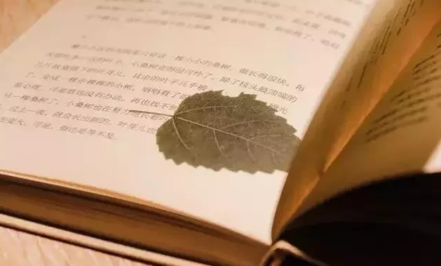 QQ截图20190222112710.png