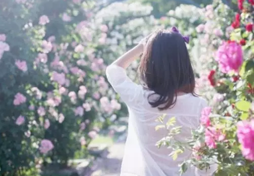1560408354361000241.png QQ截图20190613144746.png