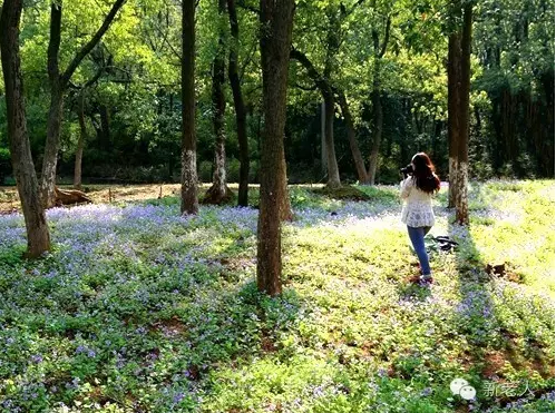 QQ截图20190614091653.png