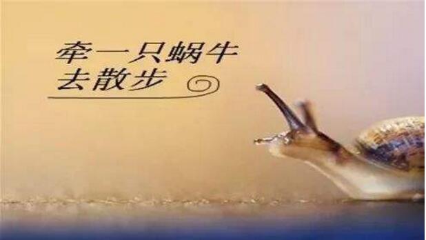 QQ截图20190615174322.jpg