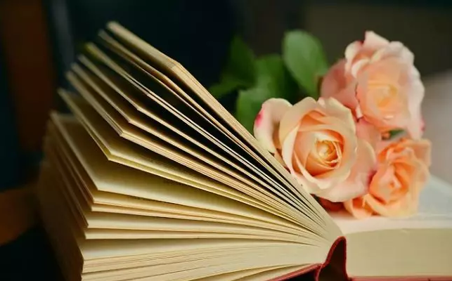 1561602311785056941.png QQ截图20190627102736.png