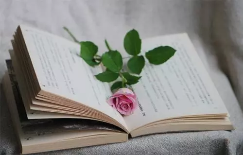 QQ截图20190629102637.png