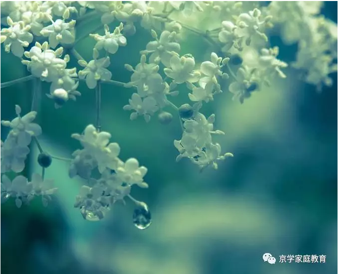 QQ截图20190712105555.png