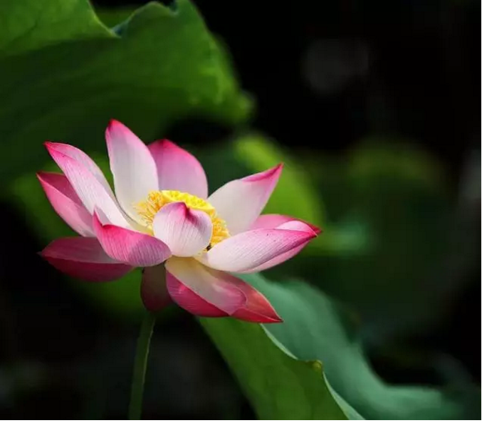 QQ截图20190712154812.png