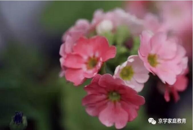 QQ截图20190717104727.jpg
