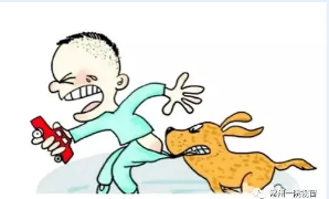 QQ截图20190802173047.png