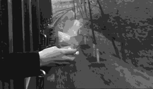 1573178701326044804.gif 微信图片_20191108100528.gif