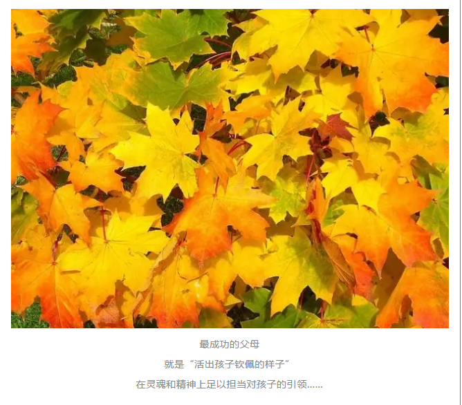 QQ截图20191126101006.png