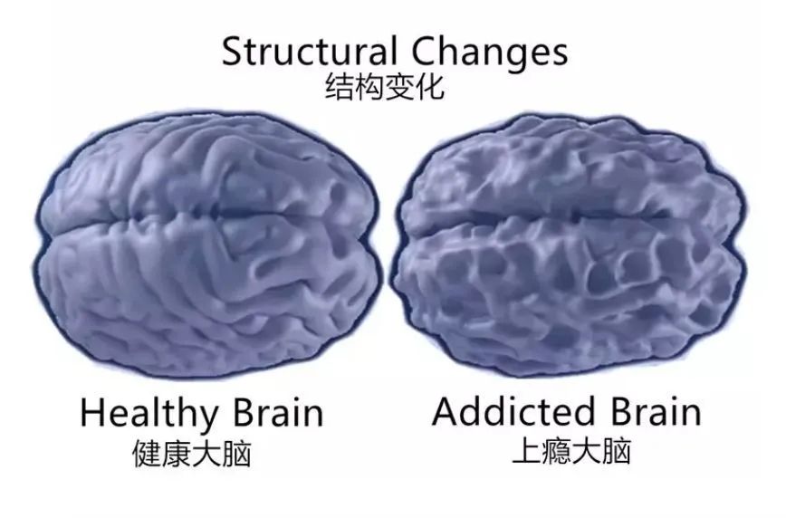 微信图片_20201030155009.jpg