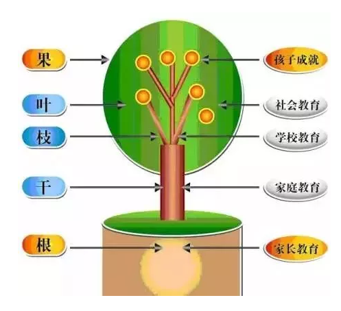 QQ截图20201124165529.png